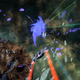Illustration for article titled Star Trek Online Review: A Piece Of The Action